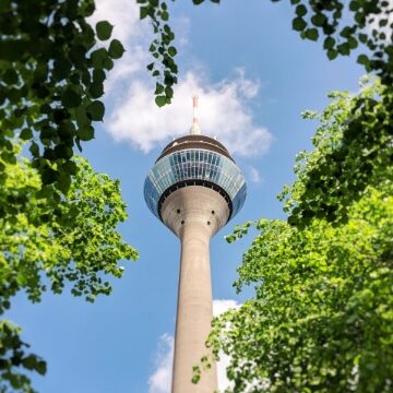 在校生の声、保護者の声